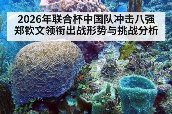 2026年联合杯中国队冲击八强郑钦文领衔出战形势与挑战分析